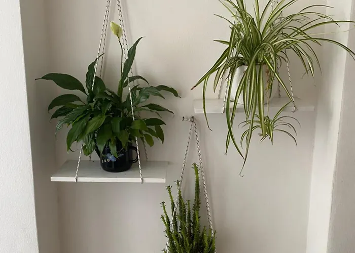 Appartement Panoramic *