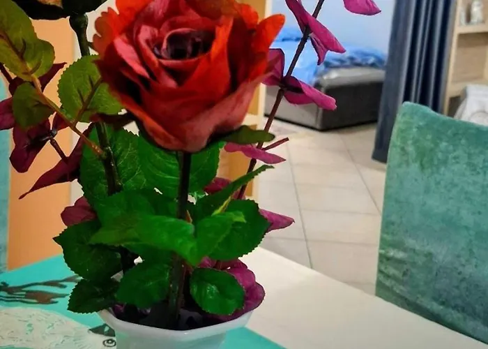 Appartement Panoramic