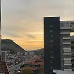 Panoramic *