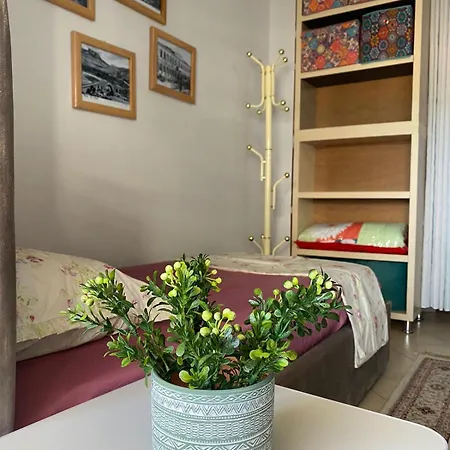 公寓 Panoramic *