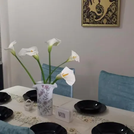 公寓 Panoramic *