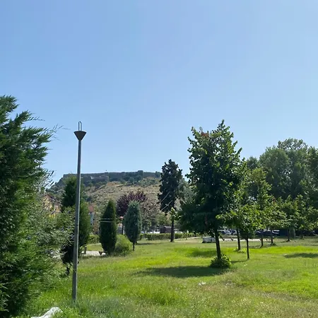 Panoramic