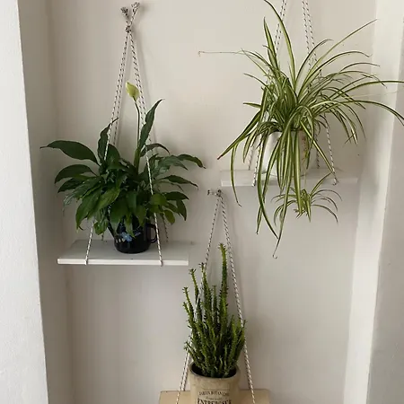 Apartamento Panoramic *