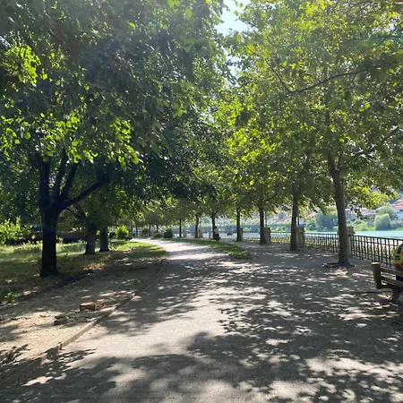 Panoramic 公寓 *